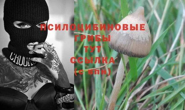 прущий лед Магадан