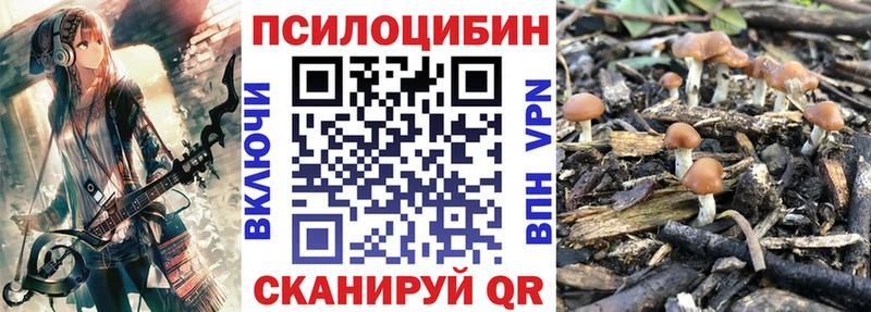 Псилоцибиновые грибы Psilocybine cubensis  сайты даркнета клад  Черкесск  купить наркоту 