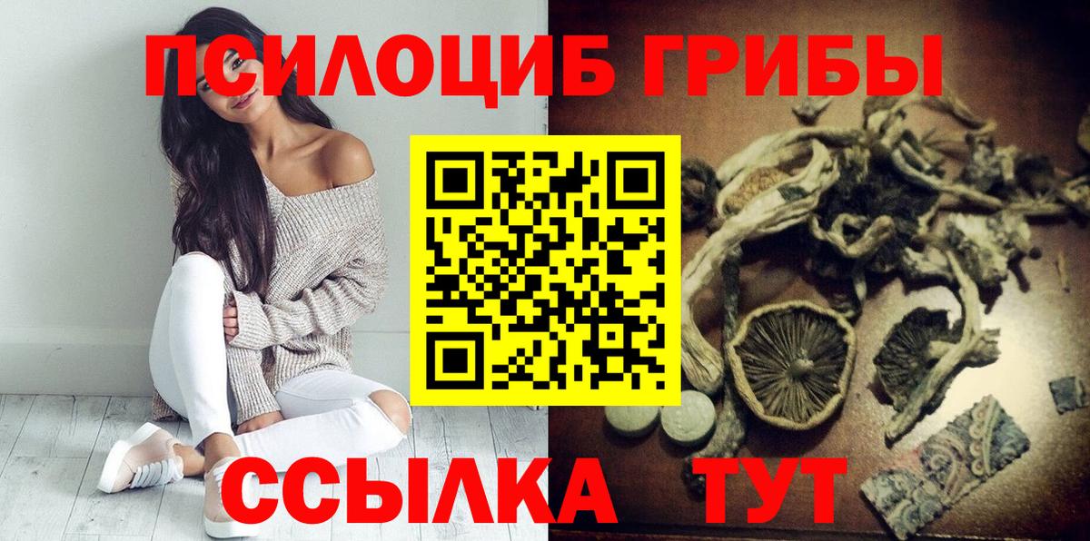 Псилоцибиновые грибы GOLDEN TEACHER  Вход с VPN  Черкесск 