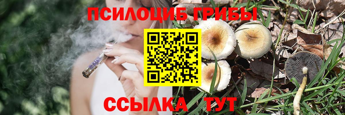 Псилоцибиновые грибы мицелий Черкесск